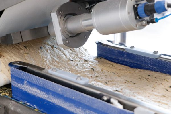 CINTA TRANSPORTADORA DE MASA ARTISAN SFE EC