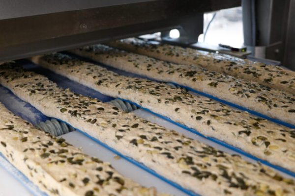 CINTA TRANSPORTADORA DE MASA ARTISAN SFE EC