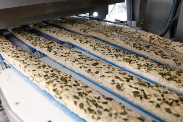 CINTA TRANSPORTADORA DE MASA ARTISAN SFE EC