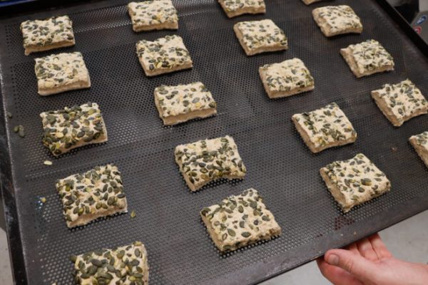 CINTA TRANSPORTADORA DE MASA ARTISAN SFE EC