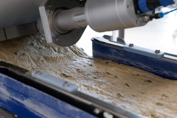 CINTA TRANSPORTADORA DE MASA ARTISAN SFE EC