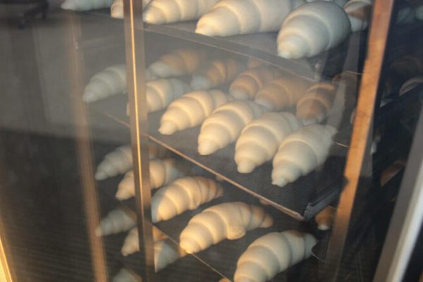 HORNOS ROTO PASSAT SE03 HORNOS ROTO PASSAT SE