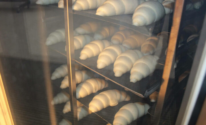 HORNOS ROTO PASSAT SE