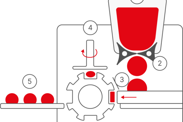 Mini-Rex-Futura-1 TEKNOMEAL Mini Rex Futura